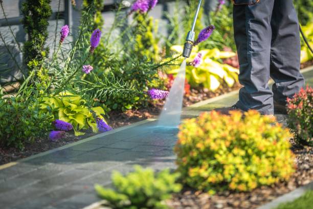 Best Parking Lot Cleaning in Waukon, IA